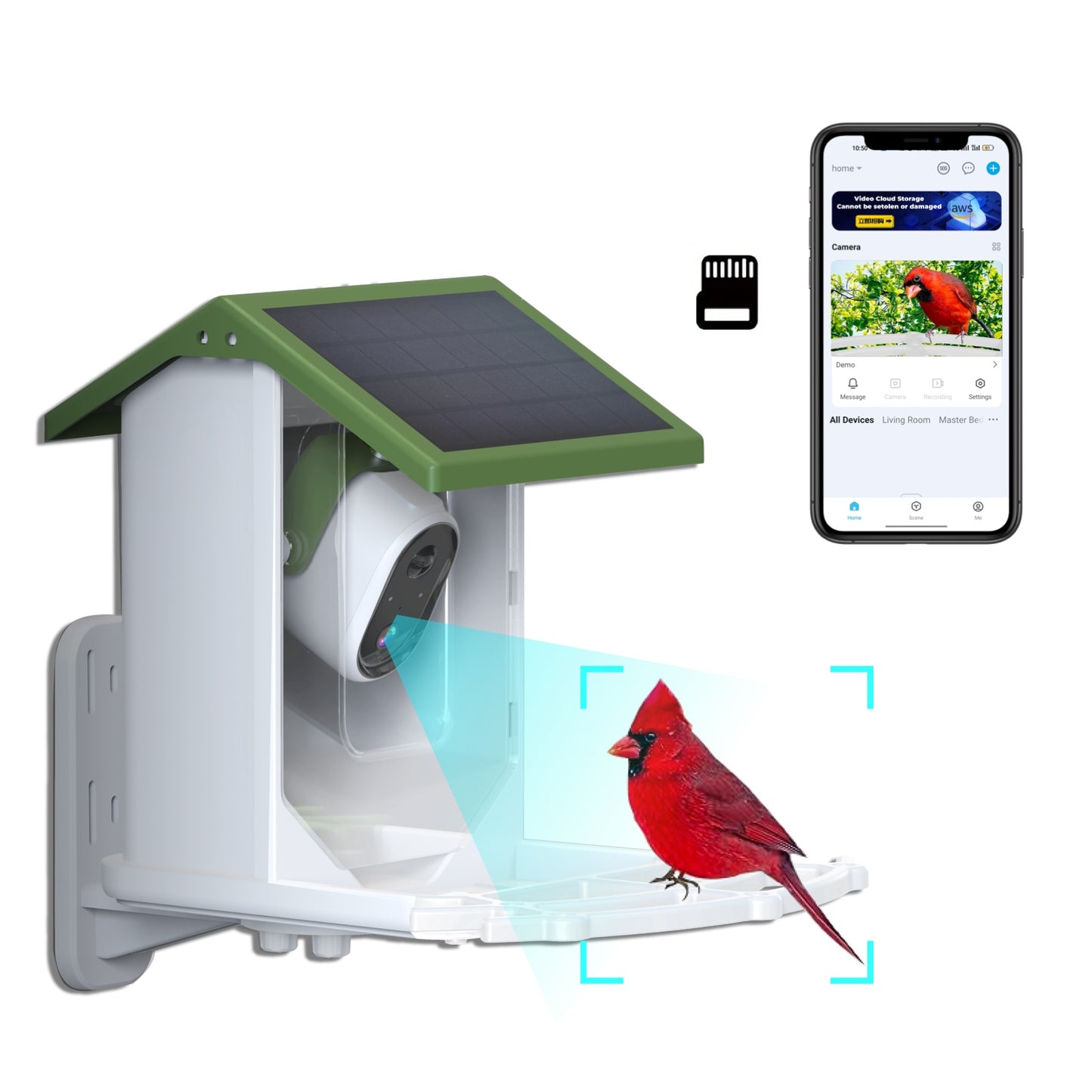 Intelligent automated bird feeder, convenient for bird lovers to feed their birds