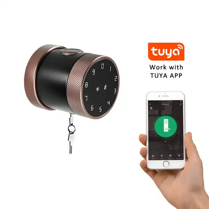 Latest Design Smart Digital Cylinder Suitable For Euro Type Locks Use Smartphone Remote Unlock TTlock Intelligent Door Lock