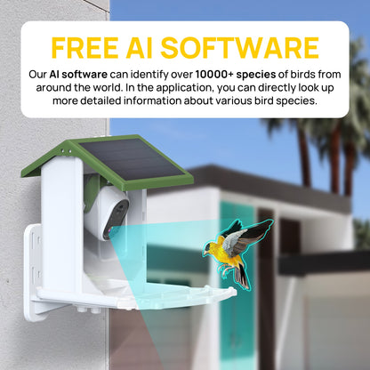 Intelligent automated bird feeder, convenient for bird lovers to feed their birds