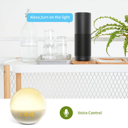 Smart Wake-Up Light