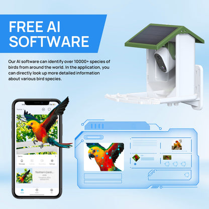 Intelligent automated bird feeder, convenient for bird lovers to feed their birds