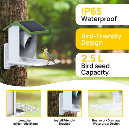 Intelligent automated bird feeder, convenient for bird lovers to feed their birds